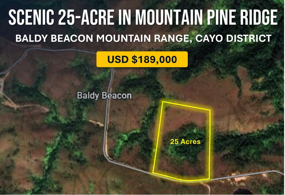 Mountain Top Property: 25.3 Acres on Baldy Beacon Range for Sale!