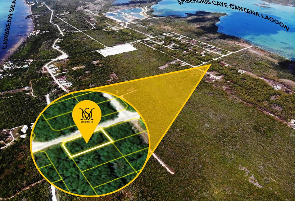 Affordable Development Lot in San Pedro 